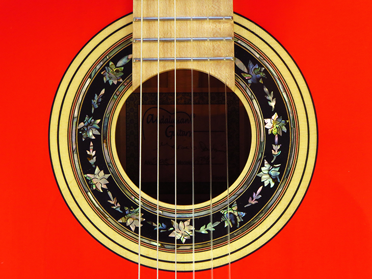 MB1945-19-spruce-birdseyeb-birdseyef-cherry-red-25-A