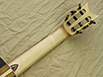 MB1945-23-spruce-birdseyeb-birdseyef-amazon-rednat-19-B