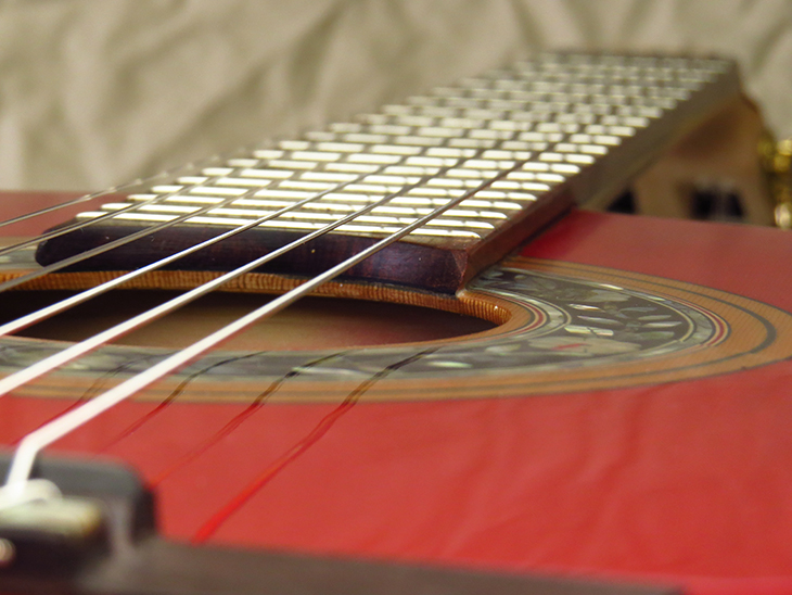 MB1945-33-cedar-jacarandab-cocobolof-rosewood-rednat-5-A