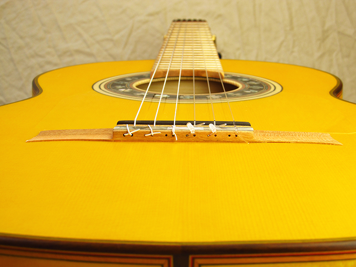 SH1927-10-spruce-ccherryb-ccherryf-cherry-yellow-6