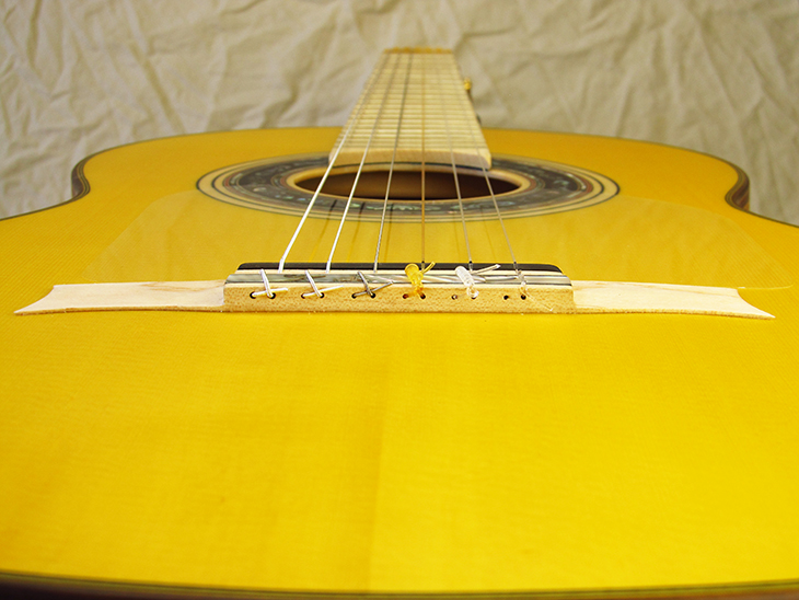 SH1927-8-spruce-mapleb-maplef-cherry-yellow-6-A.jpg