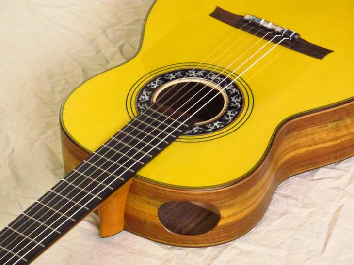 SH1927-spruce-trdbrdg-ovang-yellow-17-A